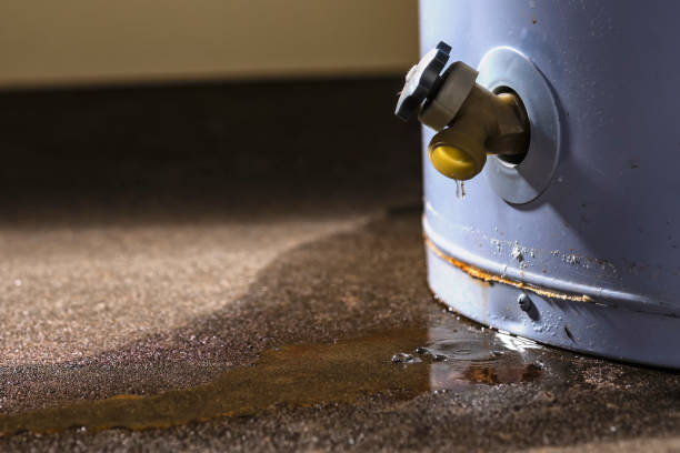 Best Basement water damage restoration  in Forsyth, GA