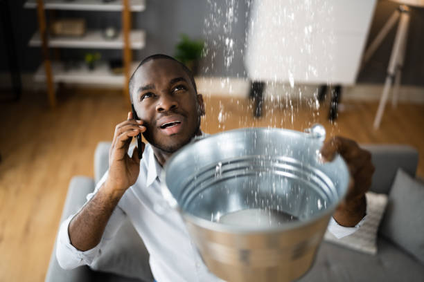 Best Flooded house restoration  in Forsyth, GA