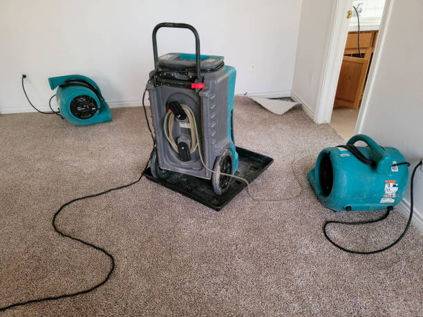 Best Basement water damage restoration  in Forsyth, GA