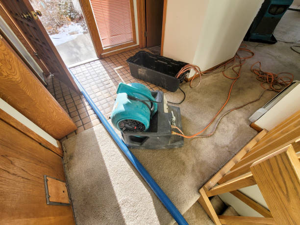 Best Sewage cleanup and water damage restoration  in Forsyth, GA