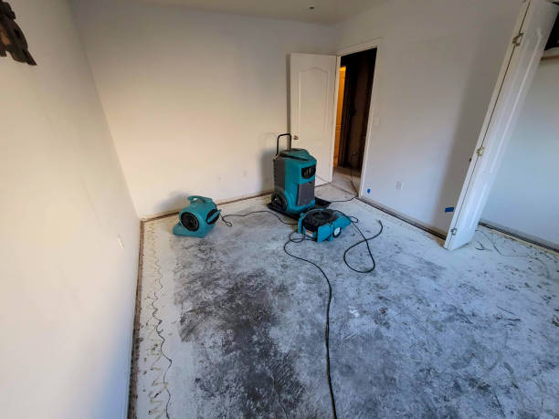 Best Mold removal after water damage  in Forsyth, GA