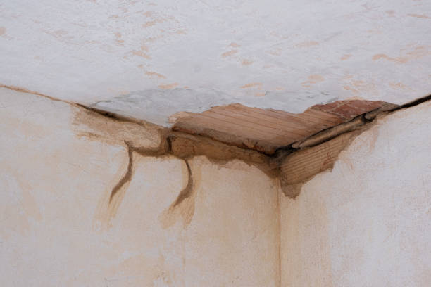 Best 24-hour water damage restoration  in Forsyth, GA