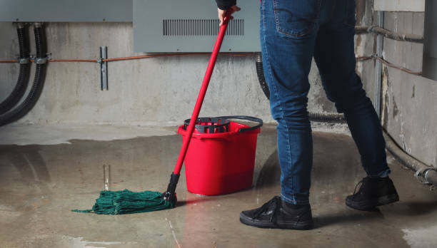 Best Water damage contractors near me  in Forsyth, GA
