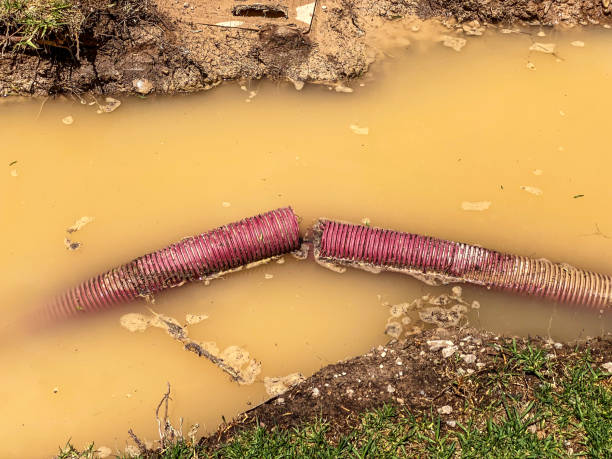 Water damage restoration mold remediation in GA