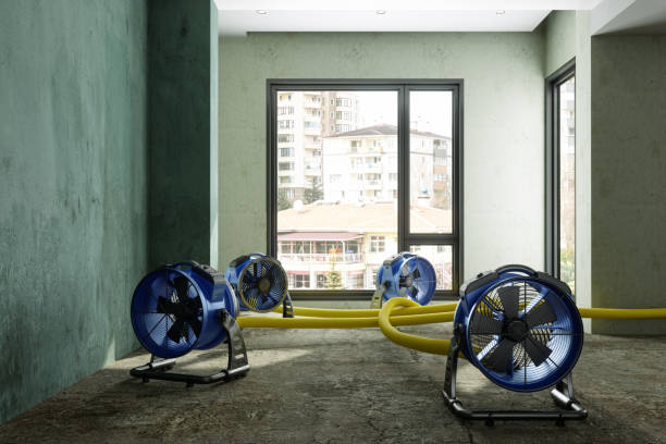 Best Sewage cleanup and water damage restoration  in Forsyth, GA