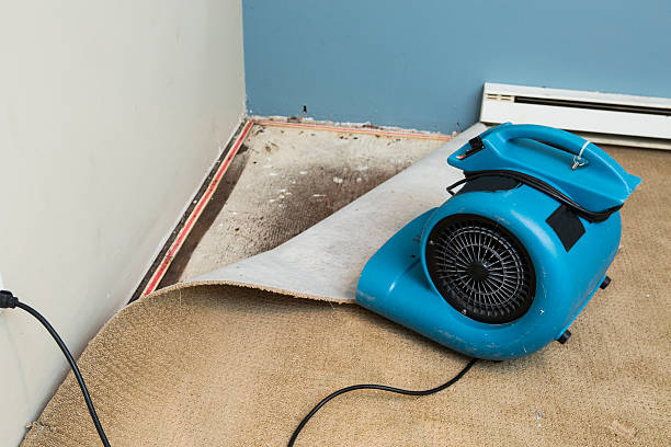 Best Emergency water damage restoration  in Forsyth, GA